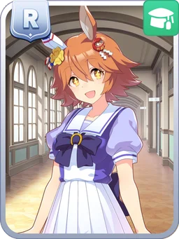 Matikanefukukitaru
