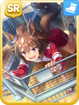 Shinko Windy